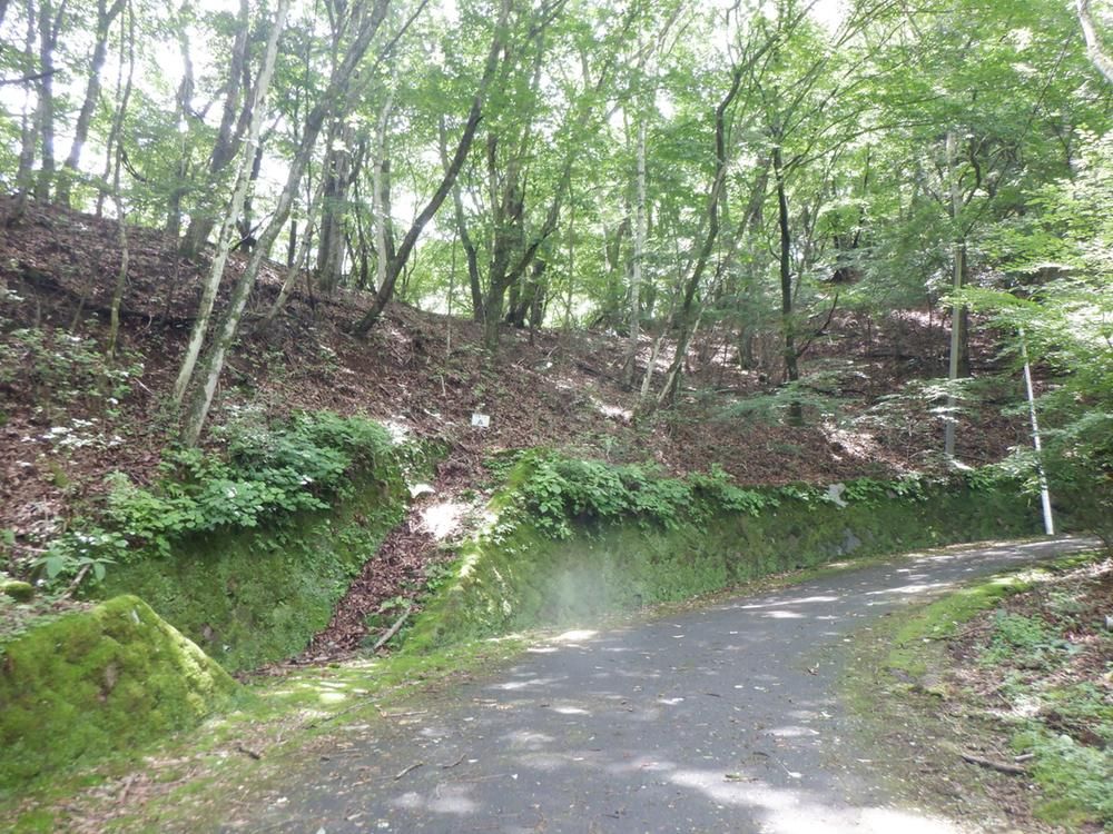 Land for Sale in Karuizawa, Nagano - 718 sqm - Thumbnail 3