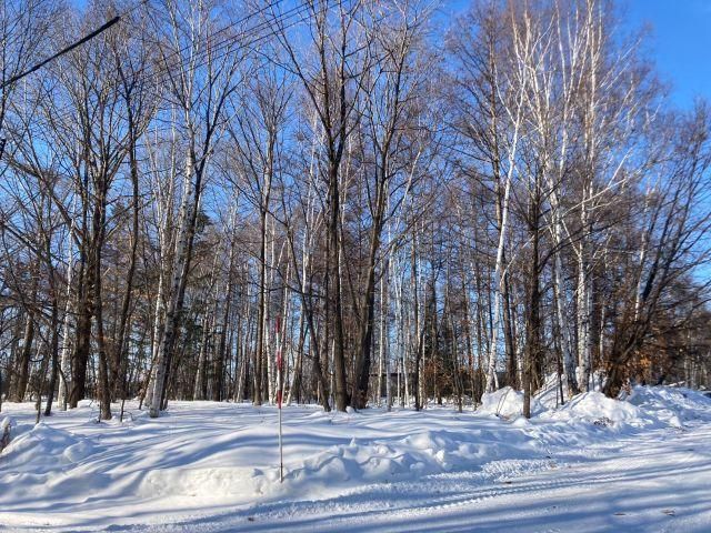 100 Tsubo Corner Land Plot for Sale in Obihiro, Hokkaido - Thumbnail 3