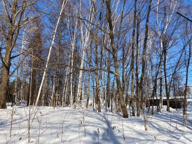 100 Tsubo Corner Land Plot for Sale in Obihiro, Hokkaido - Thumbnail 2