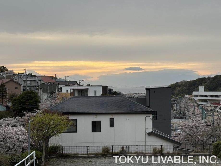 Land for Sale in Hayama, Kanagawa - 330 sqm with Ocean Views - Thumbnail 4