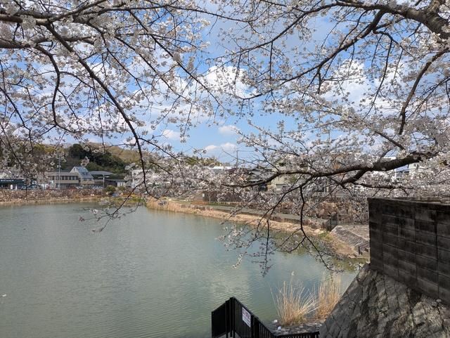 199.5m2 Land for Sale in Minato, Okayama City - Thumbnail 4