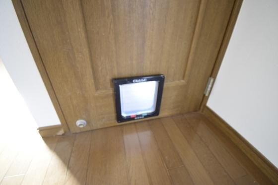 5LDK Renovated House with Garden in Ube, Yamaguchi - Thumbnail 4