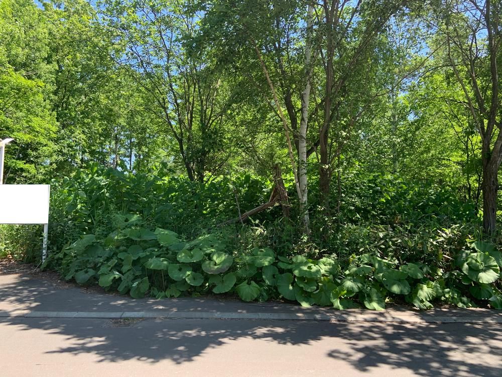 Land for Sale in Asahikawa, Hokkaido - 257m2 - Thumbnail 4