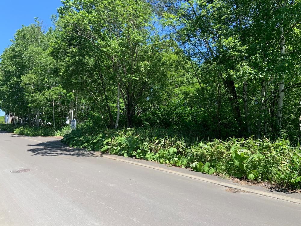 Land for Sale in Asahikawa, Hokkaido - 257m2 - Thumbnail 3