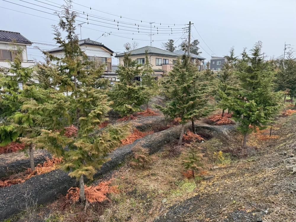 Land for Sale in Morokawa, Koga City, Ibaraki - 1,650 sqm - Thumbnail 4