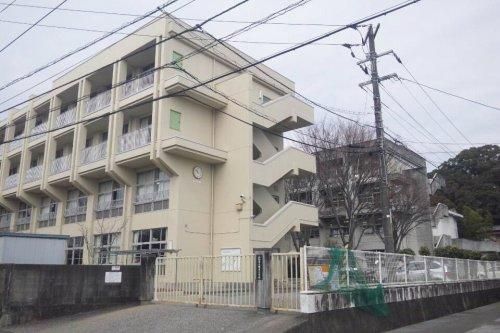 Land for Sale in Kochi City, Kochi Prefecture - 354.39 sqm - Thumbnail 4