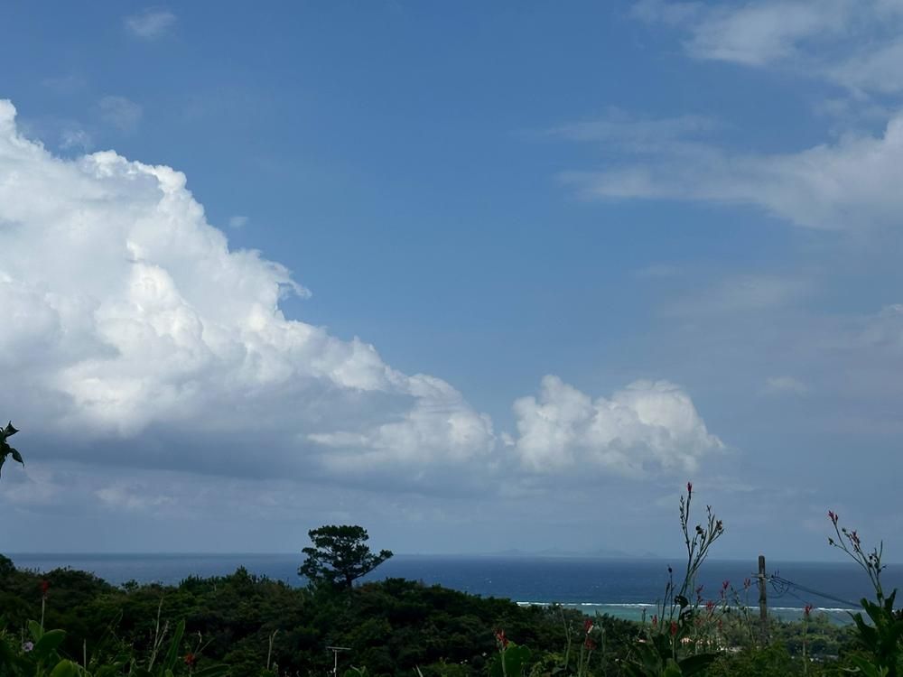 Land for Sale in Nakijin Village, Okinawa - 129.47 sqm - Thumbnail 3