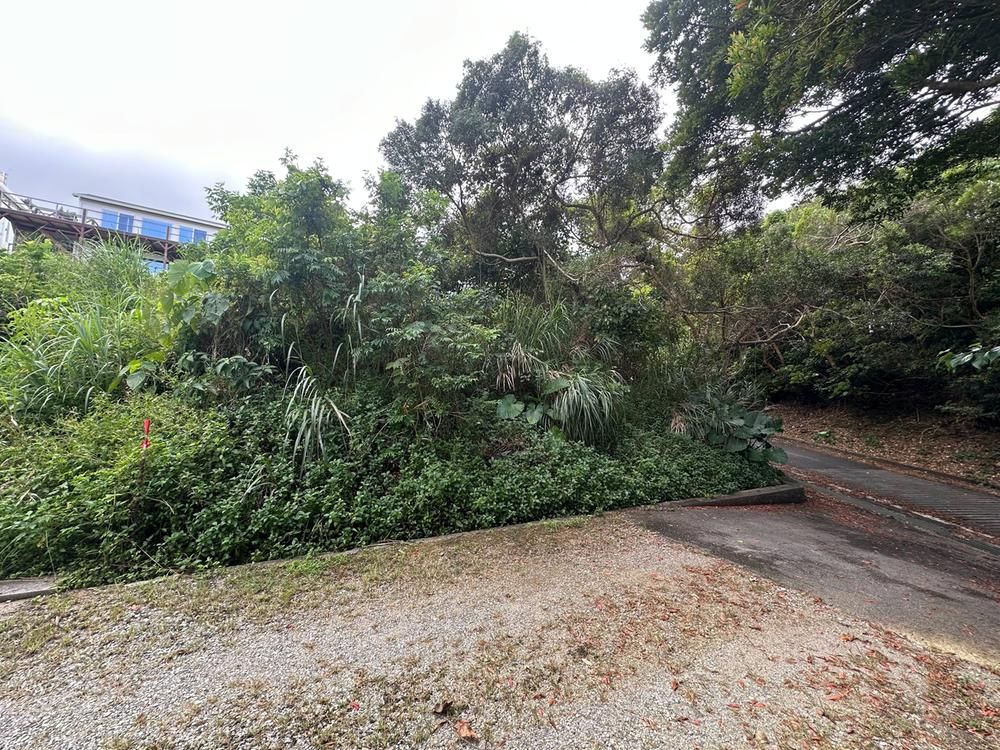 Land for Sale in Nakijin Village, Okinawa - 129.47 sqm - Thumbnail 4
