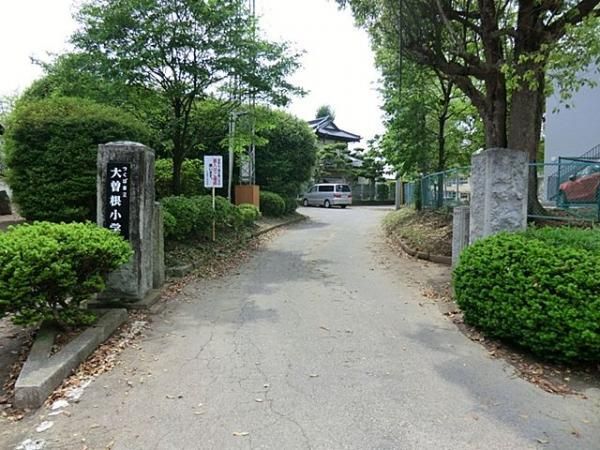 Land for Sale in Tamatori, Tsukuba City, Ibaraki - 327m² - Thumbnail 4