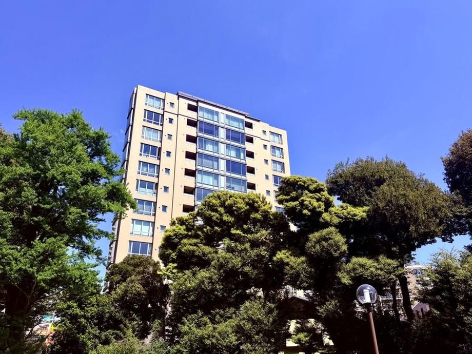 92.56m2 1LDK Apartment Near Shinjuku Gyoen in Naito-cho - Thumbnail 3