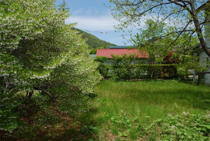 Land for Sale in Karuizawa, Nagano - 160m² Plot - Thumbnail 2