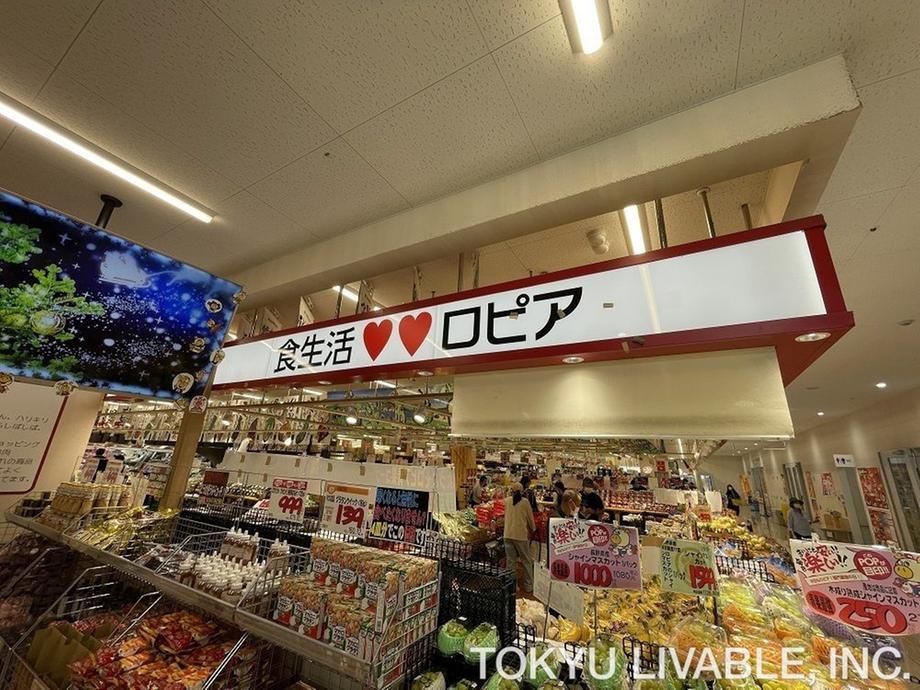 Land for Sale in Kodaira, Tokyo - 274 sqm Plot near Takinodai Station - Thumbnail 4