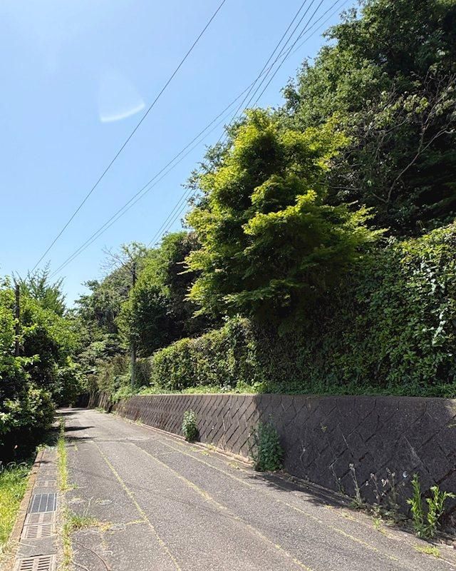 Land for Sale in Takasaki, Gunma - 2058 sqm - Thumbnail 2