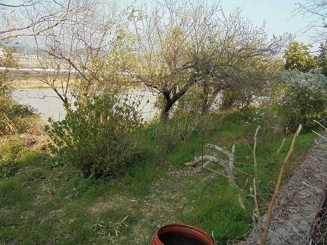 Building Land for Sale in Kōnan, Kōchi – 166.93m2 - Thumbnail 4