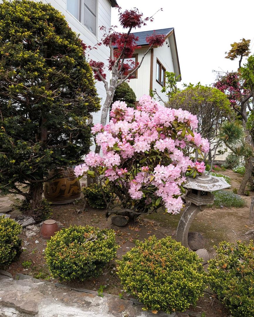 Land for Sale in Minami-ku, Sapporo - 217.51 sqm - Thumbnail 3