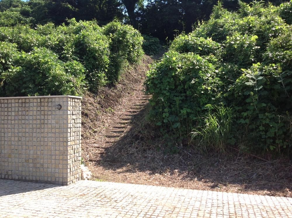 Ocean View Land Parcels in Manazuru, Kanagawa - 764 sqm - Thumbnail 3