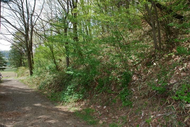 Land for Sale in Karuizawa, Nagano - 2,502 sqm - Thumbnail 4