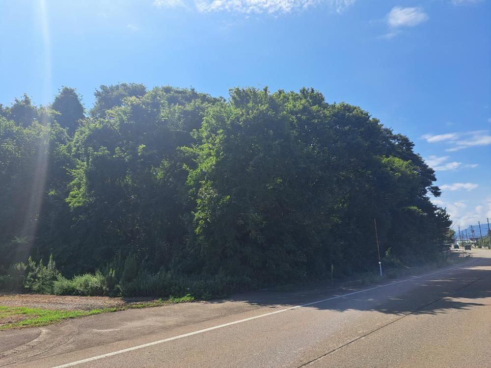 Land for Sale in Joetsu City, Niigata - 4139.58 sqm - Thumbnail 4