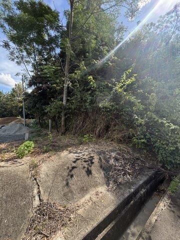 4237 sqm Land for Sale in Otsu Town, Kumamoto - Thumbnail 4