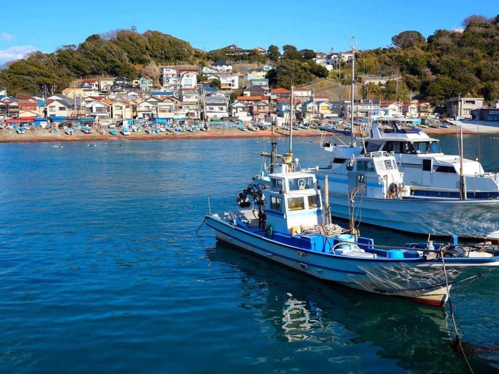 107 sqm Building Land for Sale in Hayama, Kanagawa - Thumbnail 3