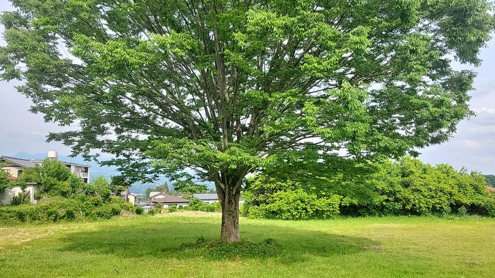 Land for Sale in Shibukawa, Gunma - 2,255 sqm - Thumbnail 2