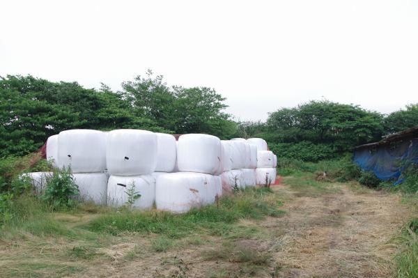 Large Land with Mountain Views in Fujinomiya City - Thumbnail 3