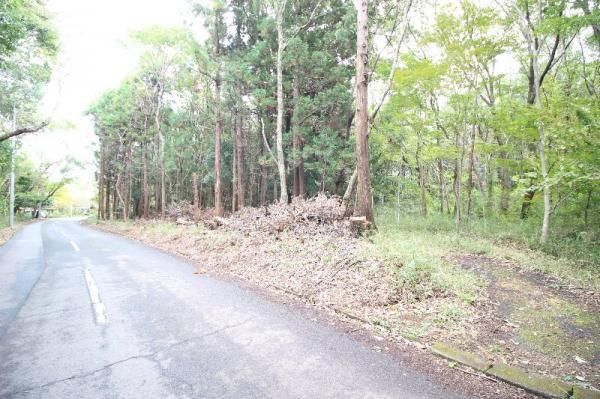 2000m2 Forest Land for Sale in Yoshigase, Tsukuba City, Ibaraki - Thumbnail 4