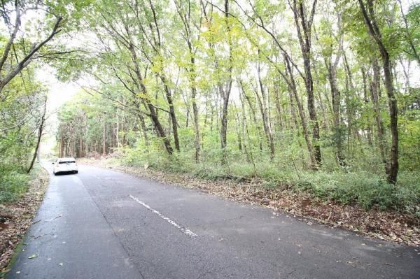 2000m2 Forest Land for Sale in Yoshigase, Tsukuba City, Ibaraki - Thumbnail 2