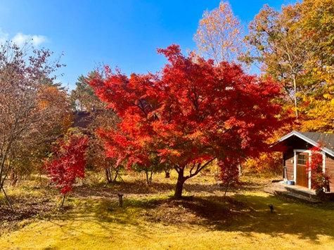 2LDK House in Karuizawa with Large Garden and Wood Stove - Thumbnail 2