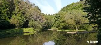 Land for Sale in Zama City 66.48 sqm Near Station - Thumbnail 3