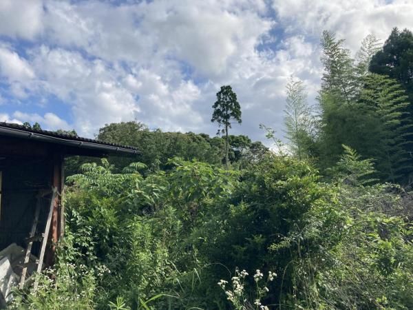 Land for Sale in Umenokita-cho, Miyakonojo City, Miyazaki - 1054.22 sqm - Thumbnail 3
