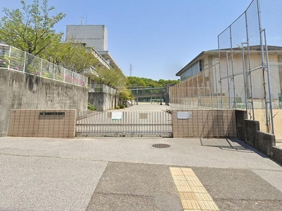 Land for Sale in Seto Higashi-cho, Kochi City - 236.61 sqm - Thumbnail 3