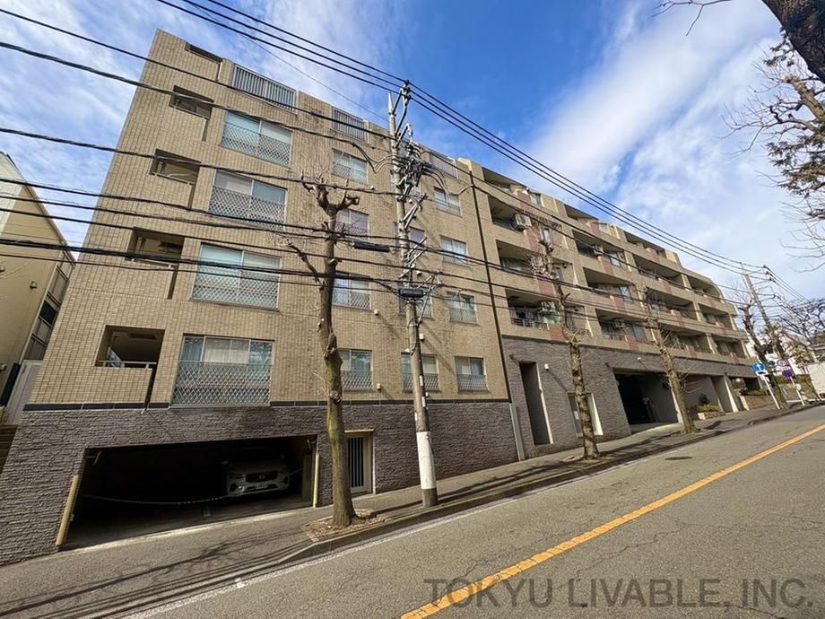 Spacious 1LDK+S Apartment for Sale in Miyamae-ku, Kawasaki - Thumbnail 4