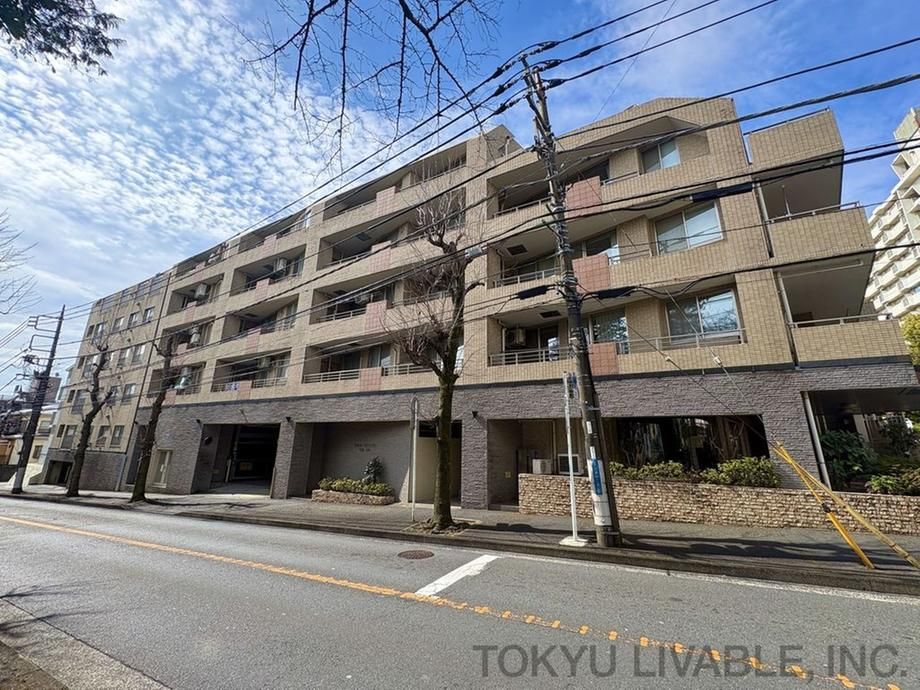 Spacious 1LDK+S Apartment for Sale in Miyamae-ku, Kawasaki - Thumbnail 3