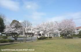 395m2 Land for Sale in Mito City, Ibaraki - Thumbnail 4