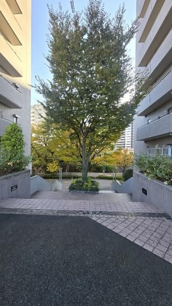 3LDK Apartment for Sale in Aoba Ward, Sendai near Kita-Sendai Station - Thumbnail 4