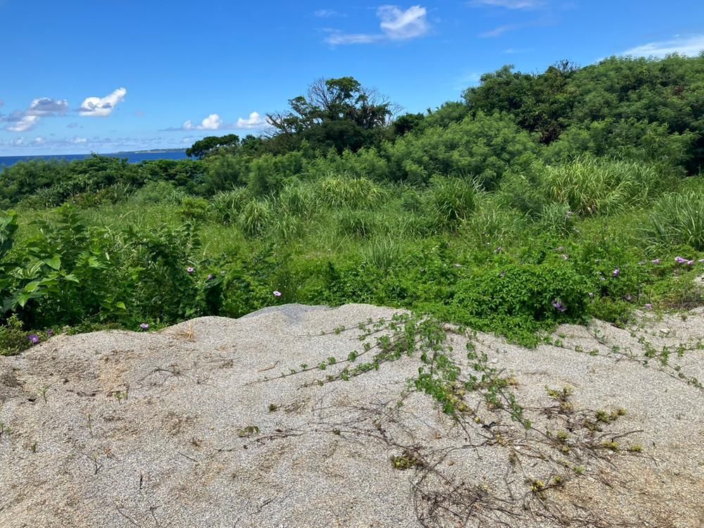 862 sqm Land for Sale in Motobu, Okinawa with Ocean View - Thumbnail 2