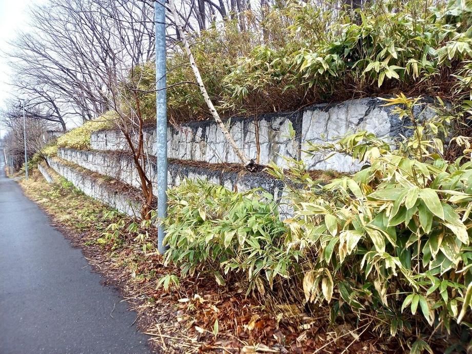 2621m2 Land for Sale in Nishi-no-Sato, Kitahiroshima, Hokkaido - Thumbnail 2