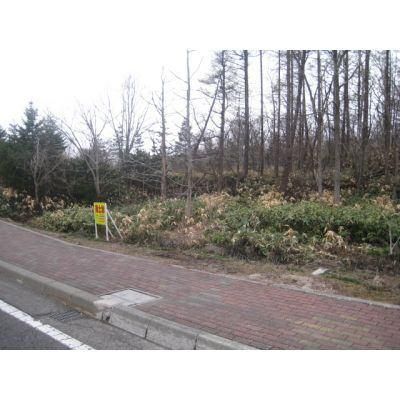 5660m2 Land for Sale Near Onuma Koen Station, Nanae-cho, Hokkaido - Thumbnail 2