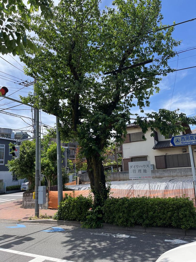 90m2 Building Plot for Sale in Tamagawadai, Setagaya, Tokyo - Thumbnail 3