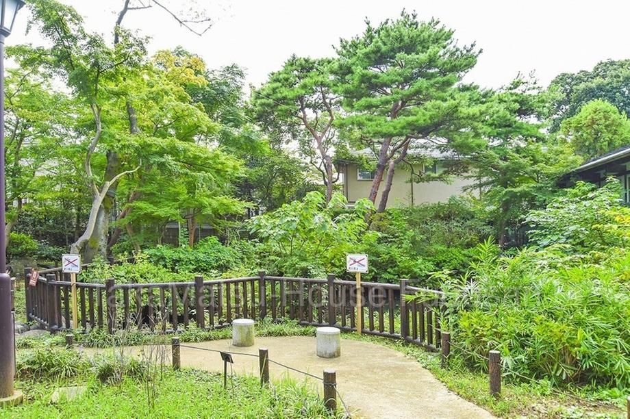 Land for Sale in Fukazawa, Setagaya, Tokyo - 92.97 sqm - Thumbnail 4