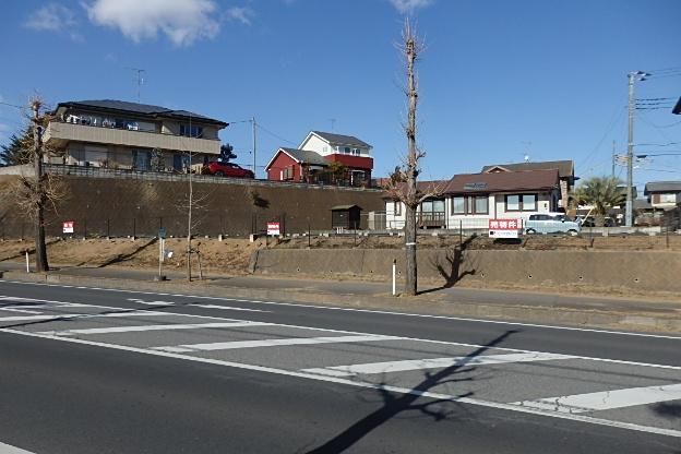 Land for Sale in Moriya, Ibaraki - 854.73m2 - Thumbnail 2