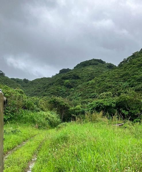 Land for Sale in Ogimi Village, Okinawa – 565 sqm - Thumbnail 3