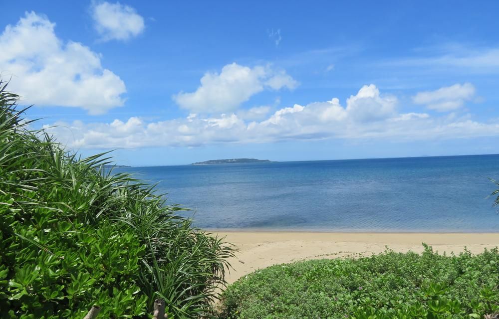 Land for Sale in Ogimi Village, Okinawa – 565 sqm - Thumbnail 2