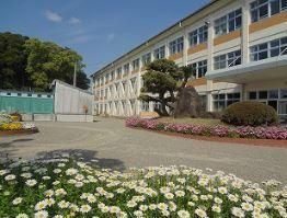 Building Plot 202m² in Shintomi-cho, Miyazaki - Thumbnail 4