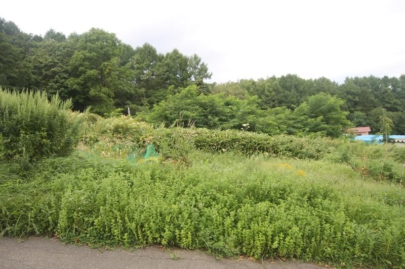 Spacious 2,417m2 Building Plot in Otaru City, Hokkaido - Thumbnail 3