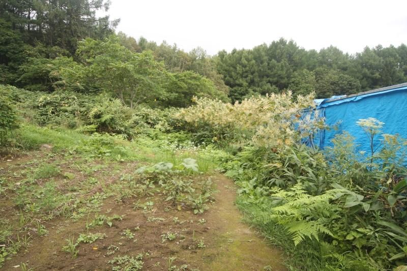 Spacious 2,417m2 Building Plot in Otaru City, Hokkaido - Thumbnail 4