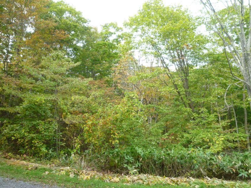 1435 sqm Vacant Land for Sale in Mori Town, Hokkaido - Thumbnail 4