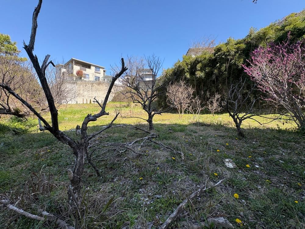 Land for Sale in Miyazaki City – 1,632 sqm with Old House - Thumbnail 4