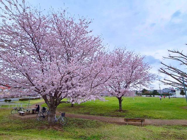 Land for Sale in Narita, Chiba - 138.77 sqm Building-Conditioned Plot - Thumbnail 3